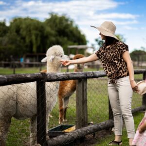 The Best Family Day Out in Stellenbosch | Vredenheim Dierewerf & Roofdierpark