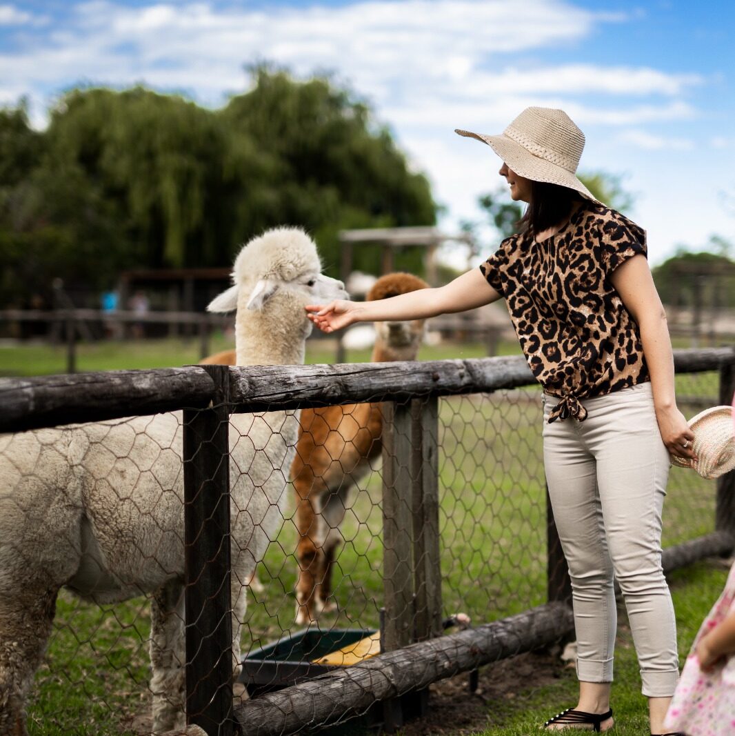 The Best Family Day Out in Stellenbosch | Vredenheim Dierewerf & Roofdierpark